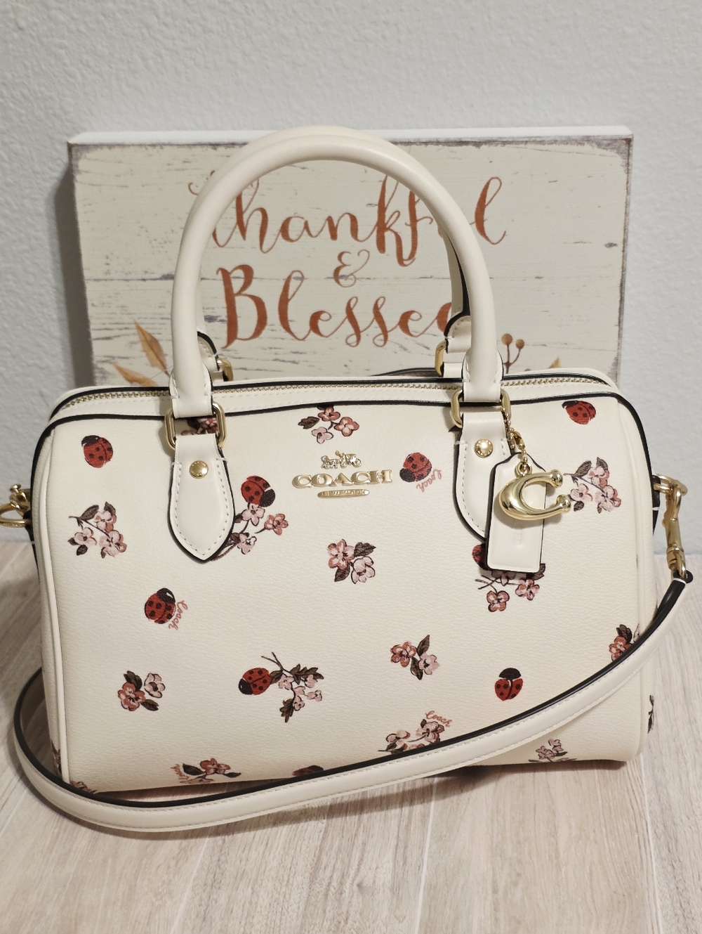 Coach RARE Rowan MEDIUM Crossbody Chalk Ladybug Floral + gold Coach C charm 🐞🐞